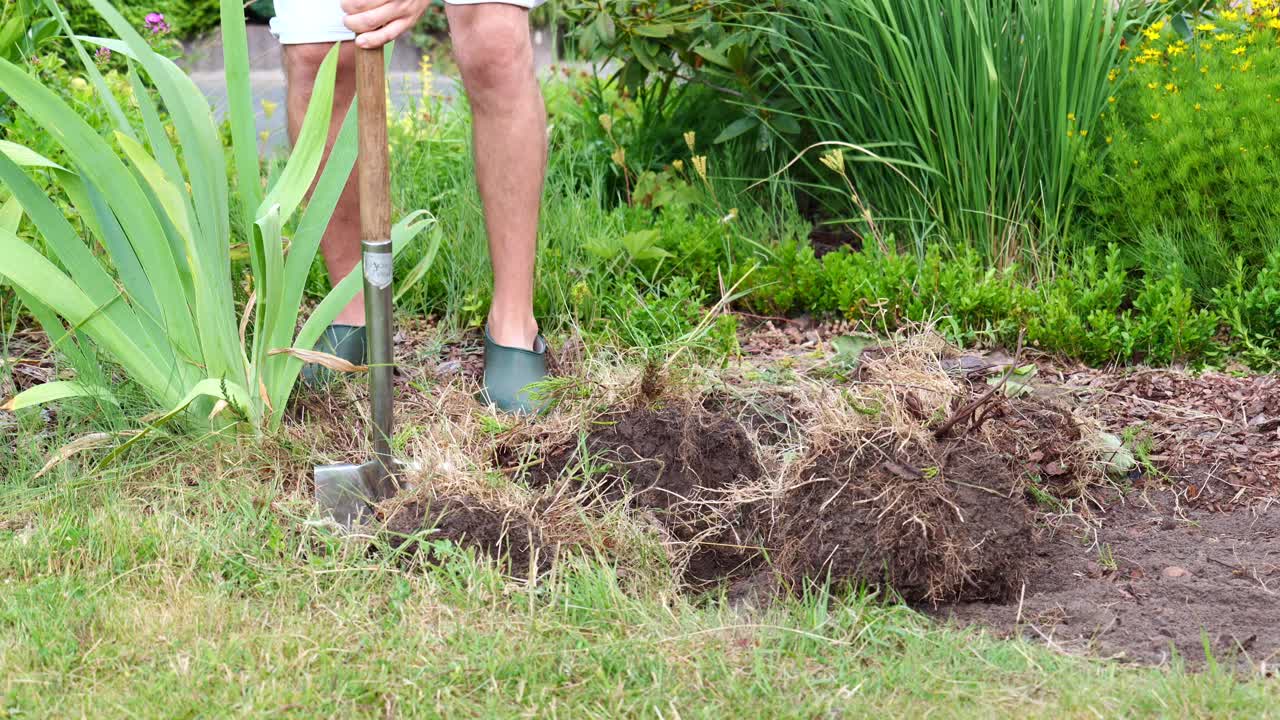 Man working in Garden green