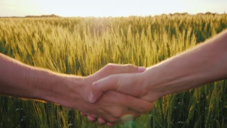 Friendly Handshake Of Two Farmers On The Background Of A Wheat Field