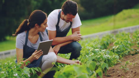 keeping track of the growth on their farm