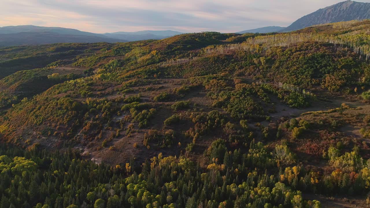 álamos tembloses girando en kebler pass, colorado