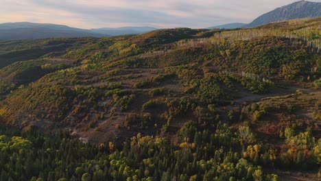 Aspens-turning-on-Kebler-Pass,-Colorado