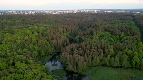 Vuelo-De-Drones-Sobre-Un-Río-Que-Fluye-A-Través-De-Un-Bosque-Con-Una-Vista-Lejana-Del-Paisaje-Urbano