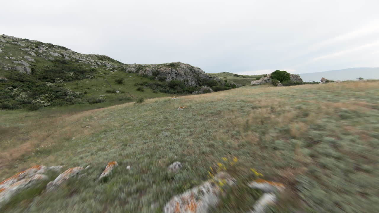 Mountainous Landscape with Trail