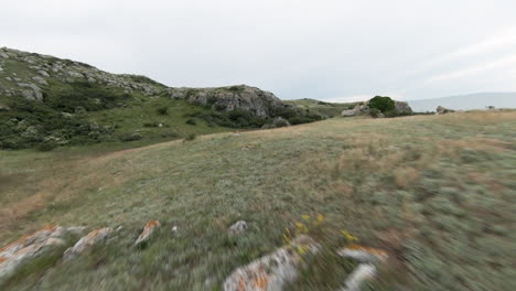 mountainous landscape with trail