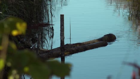 Ríos-Salmoneros-Con-Un-Pequeño-Arroyo-29