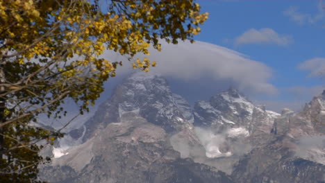 autumn leaves rustle in the wind with the grand tetons in the background
