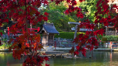 Japanese-Shinto-shrine-on-small-island-in-lake-with-red-Japanese-maple-in-autumn