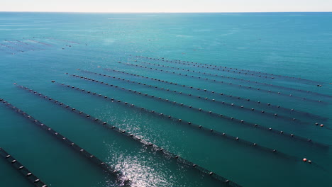 aerial view of clam breeding farm in wainui bay abel tasman national park new zealand