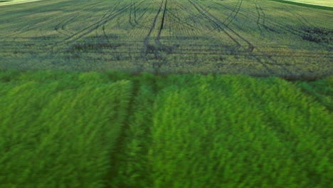 Campo-De-Cultivo-Verde.-Vehículo-Agrícola-Con-Rastro-De-Rueda-En-El-Campo-De-Cosecha