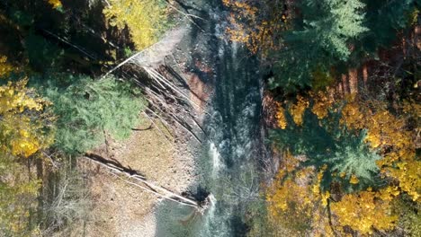 Toma-Aérea-De-Drones-Del-Río-Y-El-Bosque-En-Otoño