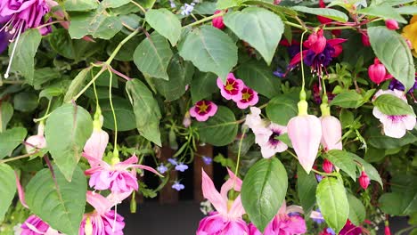 flowers blooming in a lush garden setting