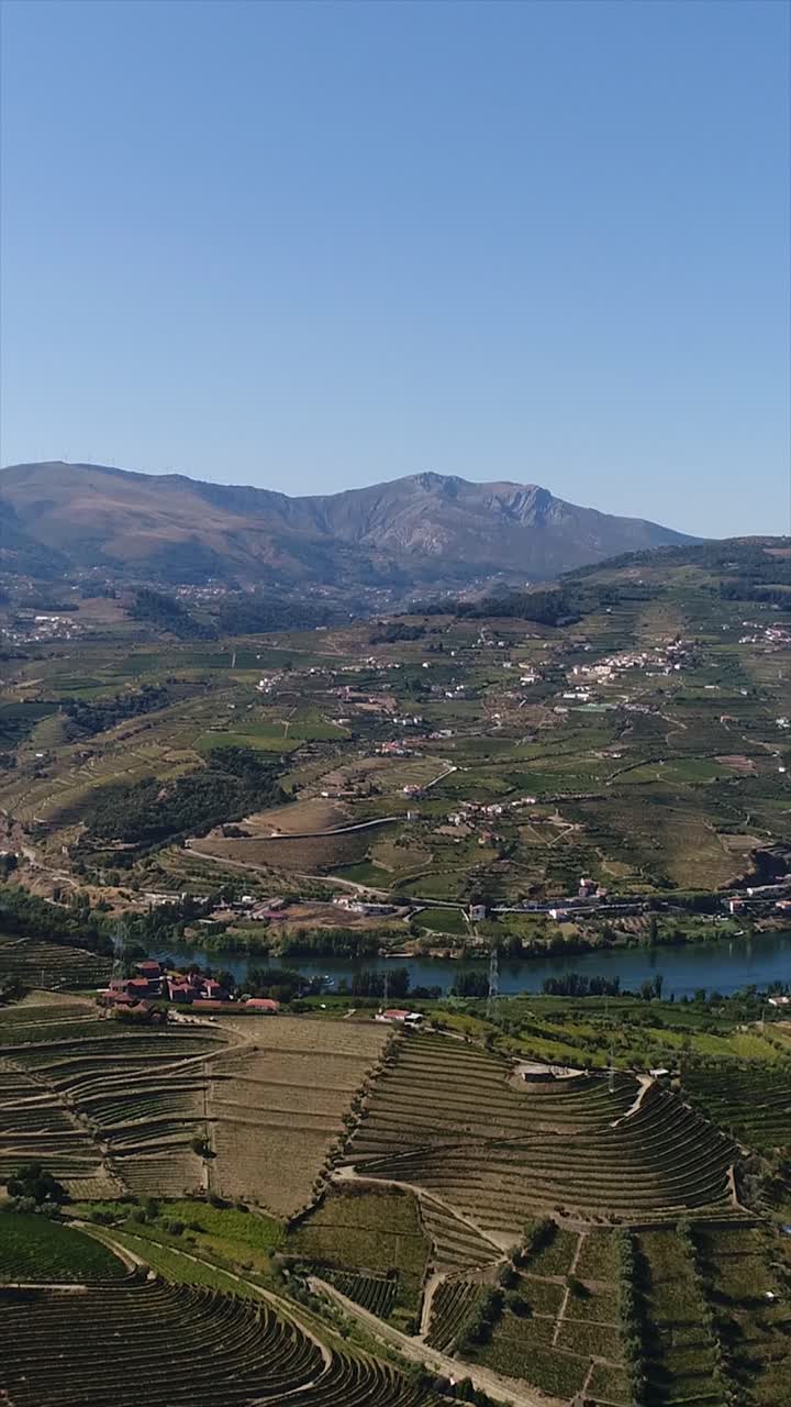 Regione vinicola della Valle del Douro, Portogallo. Video verticale 4K