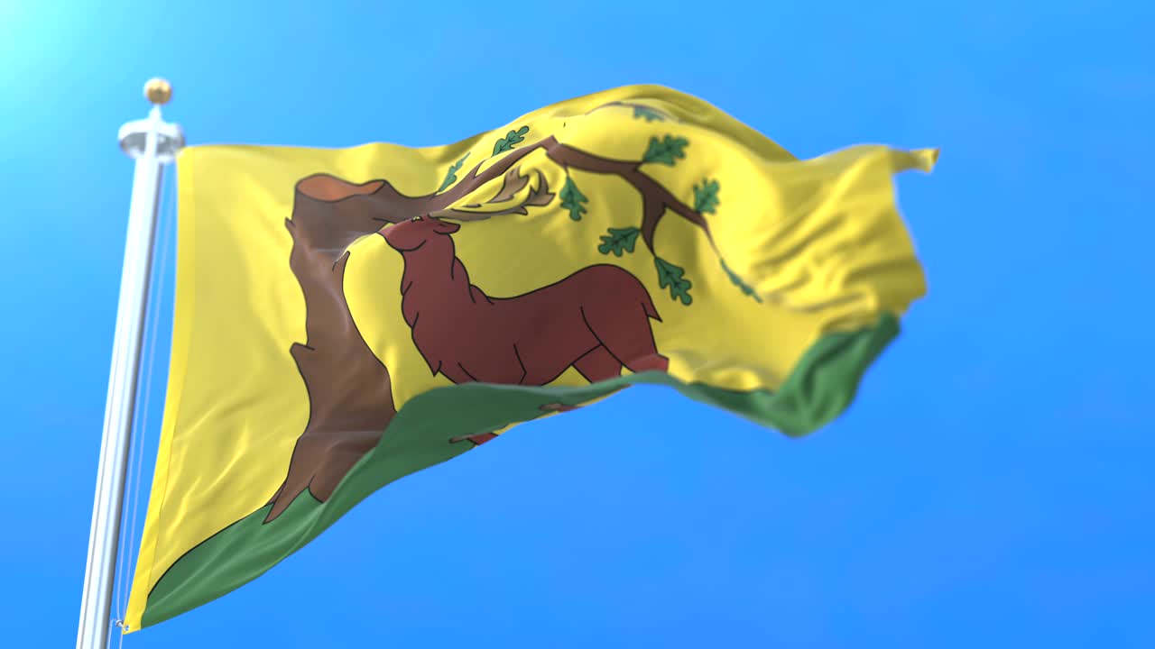 Bandiera della contea inglese del Berkshire nel sud-ovest dell'Inghilterra. Loop.