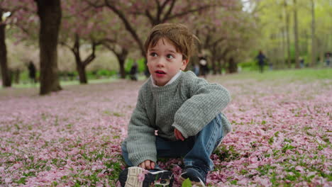 cinematic shot of a happy toddler boy singing while sitting on the pink spring field wearing grey sweater and jeans