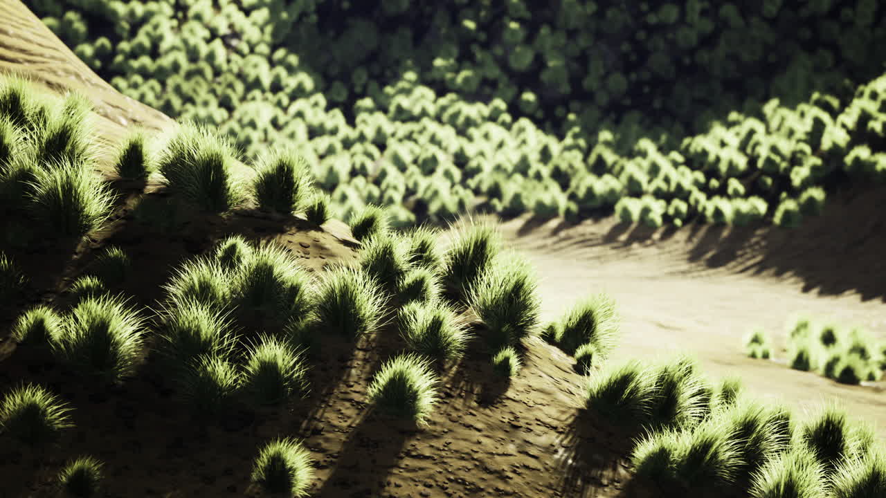 Lush green grasses blanket the rolling hills under bright sunlight