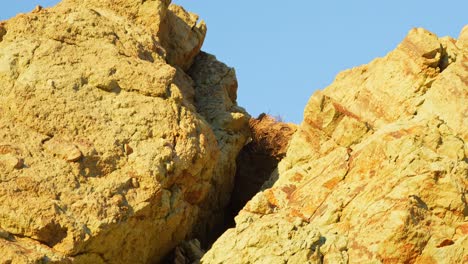 creek volcanic rocks in tenerife national park, close up view