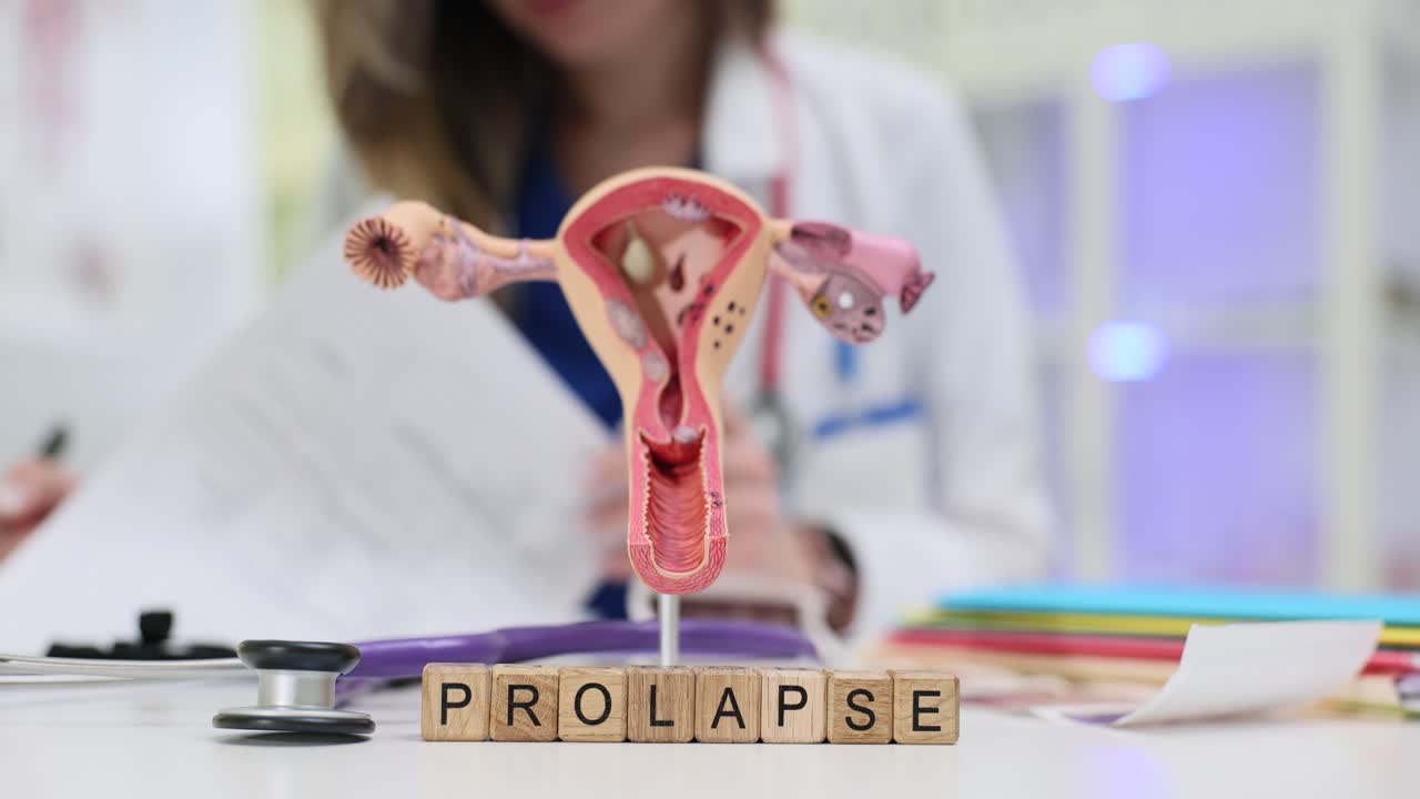 Blocchi di legno formano la parola "prolasso" vicino a un modello di utero su una scrivania.