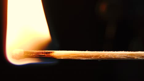 slowmotion macro shots of matches being lit and running out creating different shapes