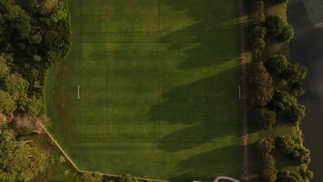 grassy open field bathed in golden light with tree rows and open space in centennial park sydney, drone top shot ascend