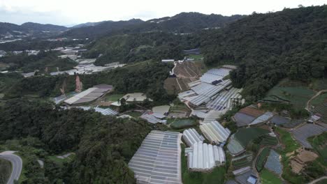 general landscape view of the brinchang district within the cameron highlands area of malaysia