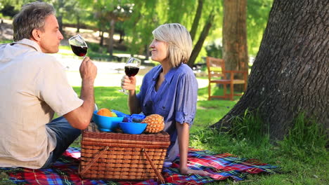 Glückliches-Paar-Bei-Einem-Picknick-Im-Park