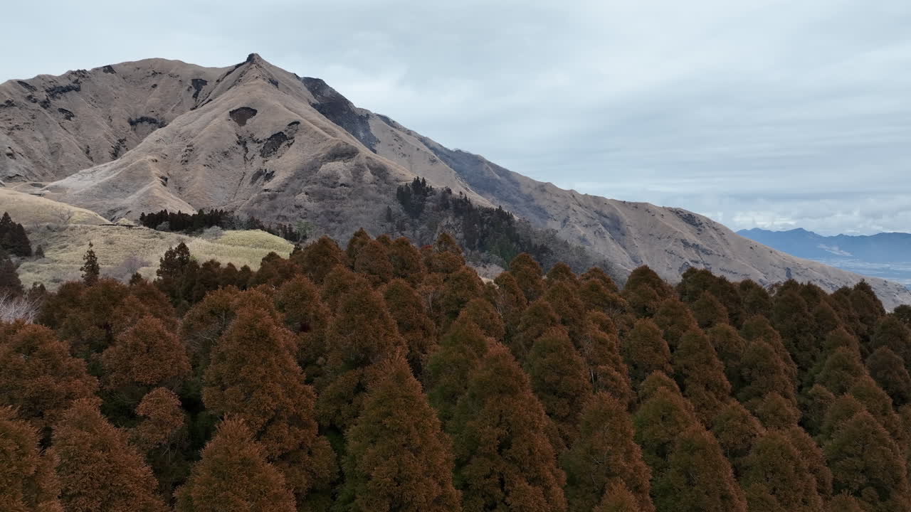 vuelo de avión no tripulado sobre árboles exuberantes en aso, prefectura de kumamoto, japón, mostrando el impresionante paisaje natural de montañas y colinas