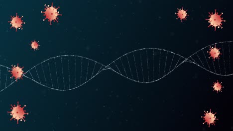 Animation-Von-Sich-Bewegenden-Covid-19-Zellen-Und-Sich-Drehendem-DNA-Strang
