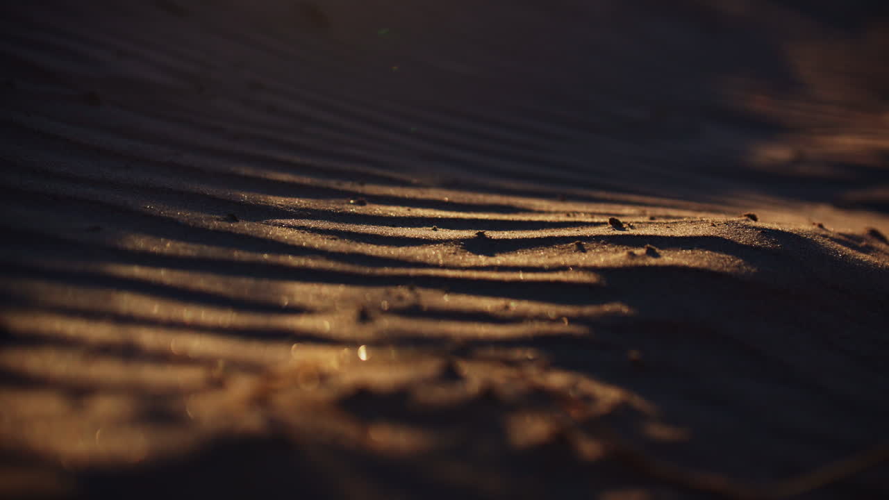 Vibrant Santa Cruz sunset with stunning ocean views, golden skies, and rolling waves—ideal for cinematic scenes, travel videos, or peaceful nature backgrounds.