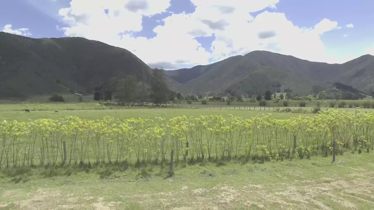 paisaje tranquilo, carro fuera de arbusto verde, cielo azul, día despejado con algunas nubes blancas, grandes montañas, algunos árboles y estacas de madera, paisaje colombiano