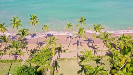 aerial top down shot of empty tropical beach with palm trees and turquoise water during sunny day - playa bonita las terrenas, dominican republic