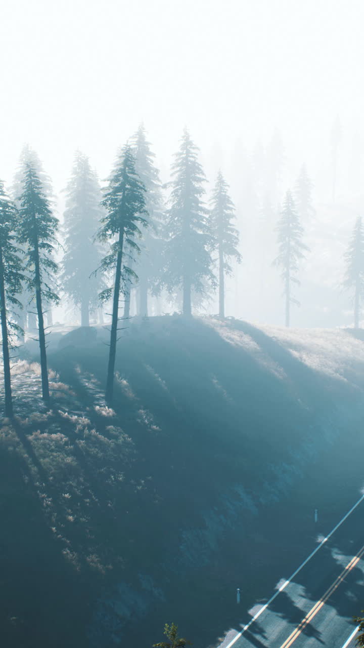 안개 가 가득 한 숲 도로: 안개 가 인 산 들 을 가로질러 경치 가 아름다운 도로