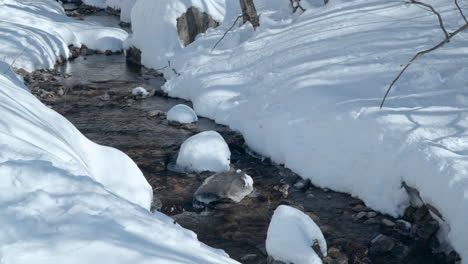 Mountain-river-in-a-snowy-forest-in-winter-with-stream-banks-covered-in-snow-on-frosty-day