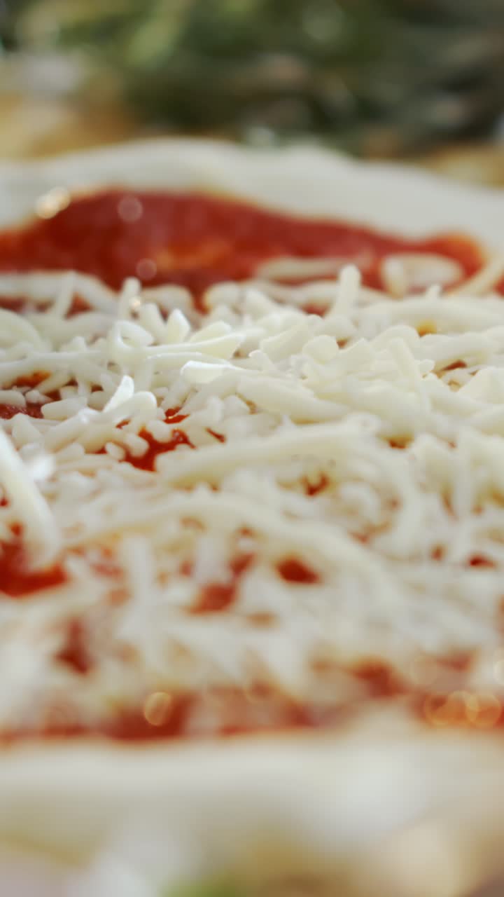 Preparing Pizza with Cheese and Tomato Sauce