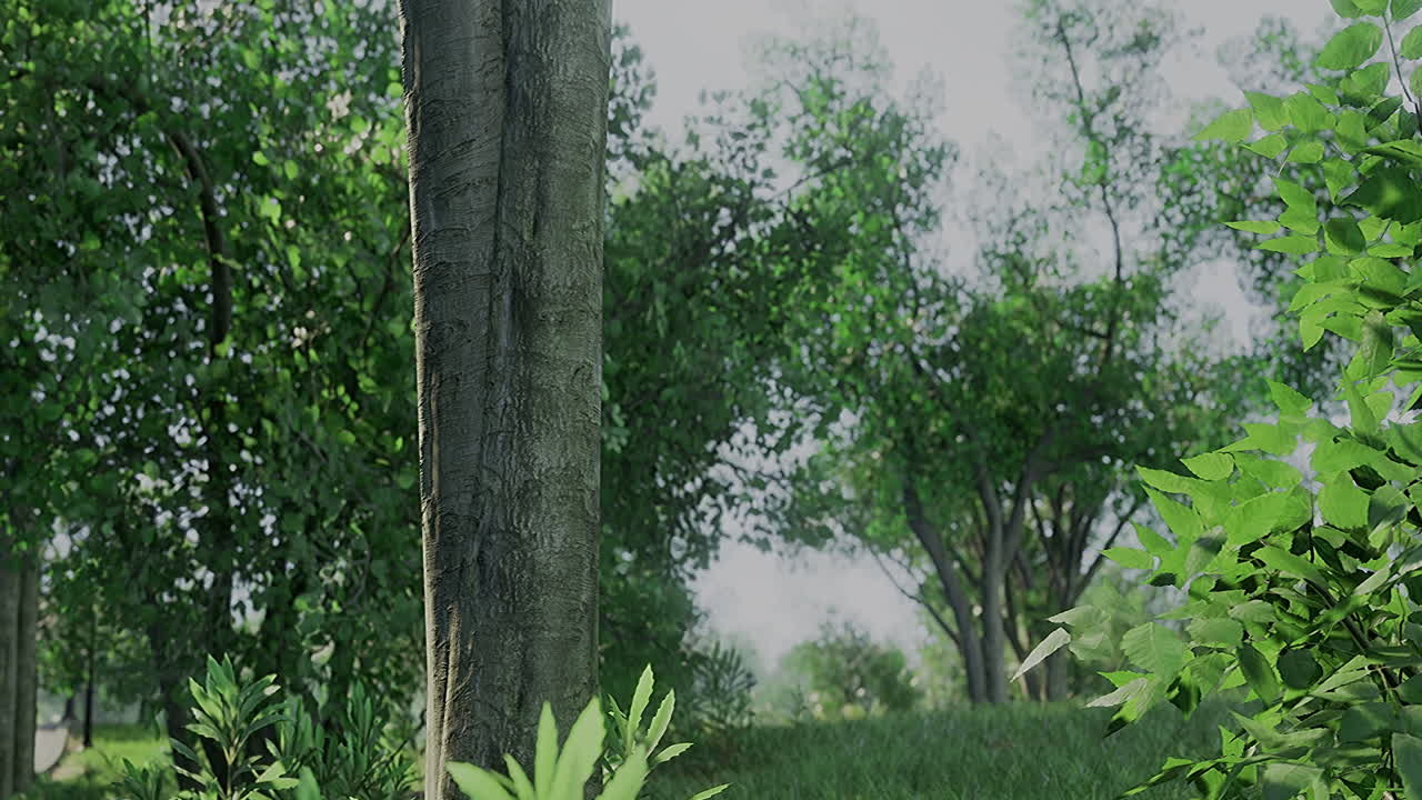 Lush greenery surrounding a sturdy tree in a serene forest setting