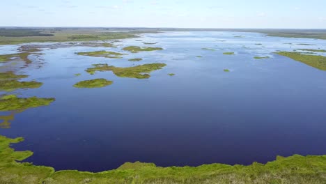 Wetlands-of-northeast-Argentina-shooted-with-drone