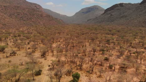 entrada a un pueblo samburu cerca del monte sagrado ololokwe, kenia