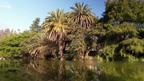 slide aerial view over lake of paseo del bosque, la plata city, argentina