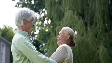 Encantadora-Pareja-De-Ancianos-