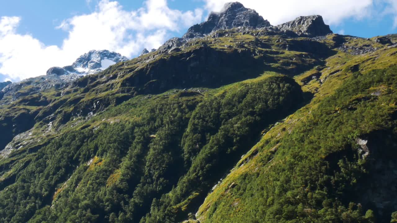 가을 햇빛이 비치는 아름다운 녹색 성장 산과 눈 덮인 산꼭대기 - 피오르드랜드 국립공원, 뉴질랜드