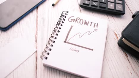 business growth plan notebook