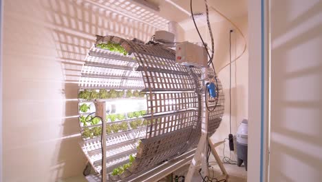 Revealing-shot,vertical-farming-cylindrical-setup-indoors-growing-leafy-vegetables