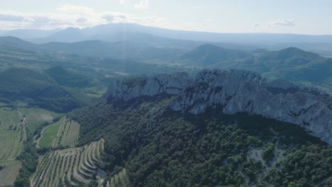 Toma-Aérea-De-Drones-Volando-Sobre-Viñedos-Vaucluse-Provenza-Dentelles-Montmirail-Francia