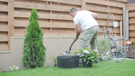 a gardener bends down to plant flowers in a well-maintained garden, surrounded by green grass, shrubs, and wooden fencing. focus on outdoor landscaping and gardening work