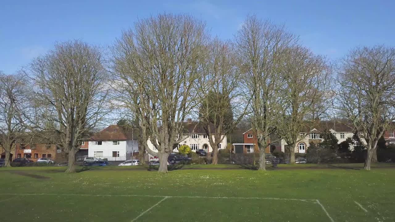 Aerial view of some trees in a park with some football fields .