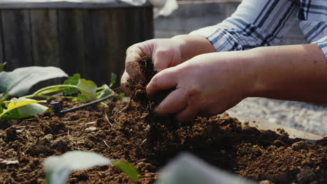 woman planting in garden