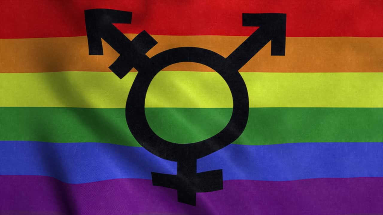 la bandera del orgullo gay transgénero bisexual ondeando en el viento. 4k