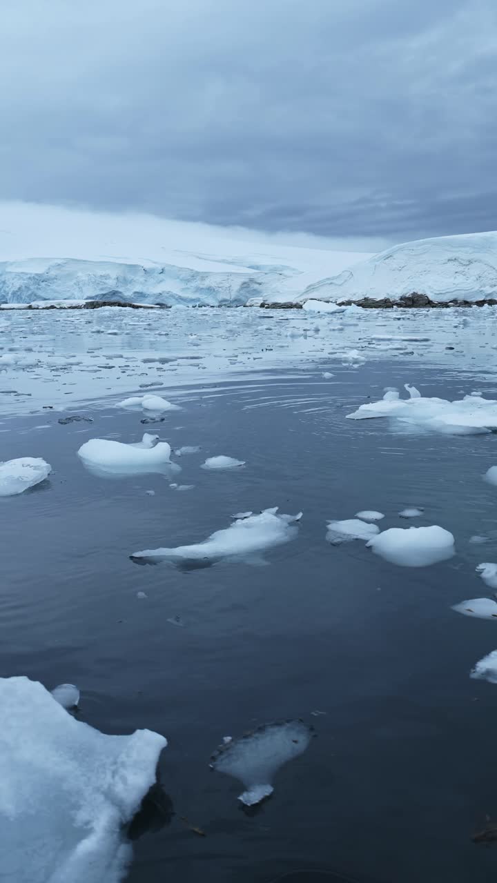 Sea Ice on Antarctica Coast, Glacier Scenery and Antarctic Peninsula Landscape and Nature with Winter Ocean Water and Sea Ice in Vertical Video for Social Media, Instagram Reels and Tiktok