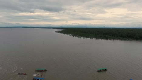 aerial shot of boats and mangroves in thailand