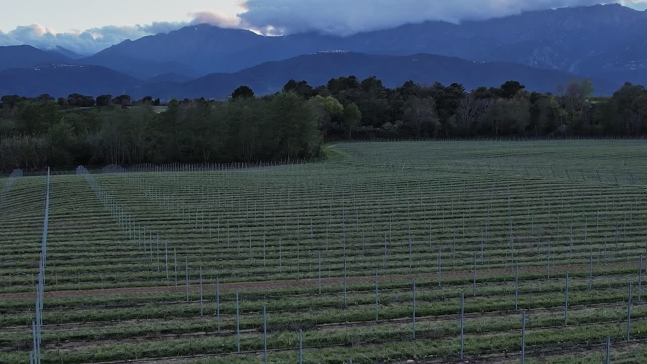 Vinlandskap på Korsika, Frankrike under kveldstimene