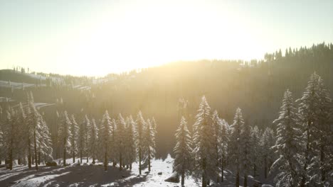 Paisaje-De-Invierno-Que-Brilla-Intensamente-Por-La-Luz-Del-Sol-En-La-Mañana